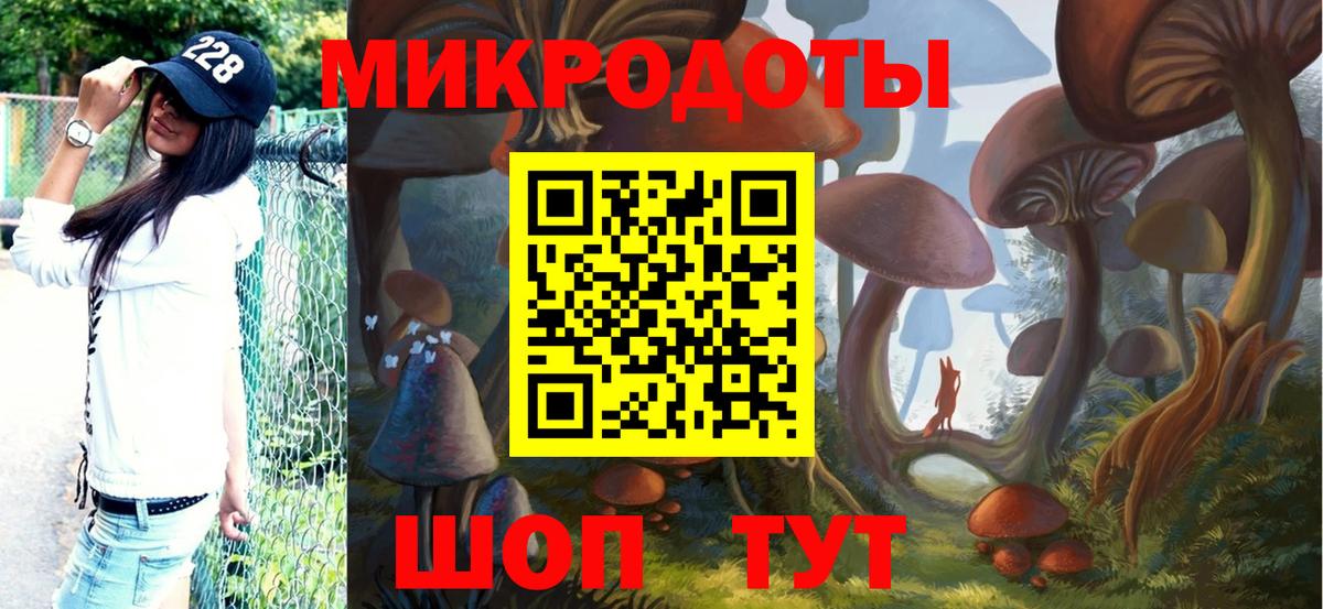 Псилоцибиновые грибы Psilocybe Грязи