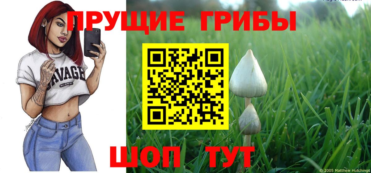 Псилоцибиновые грибы Psilocybe  Вход с VPN  Галлюциногенные грибы Psilocybine cubensis  Грязи 